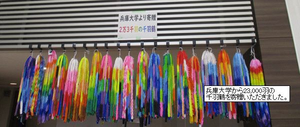 兵庫大学
