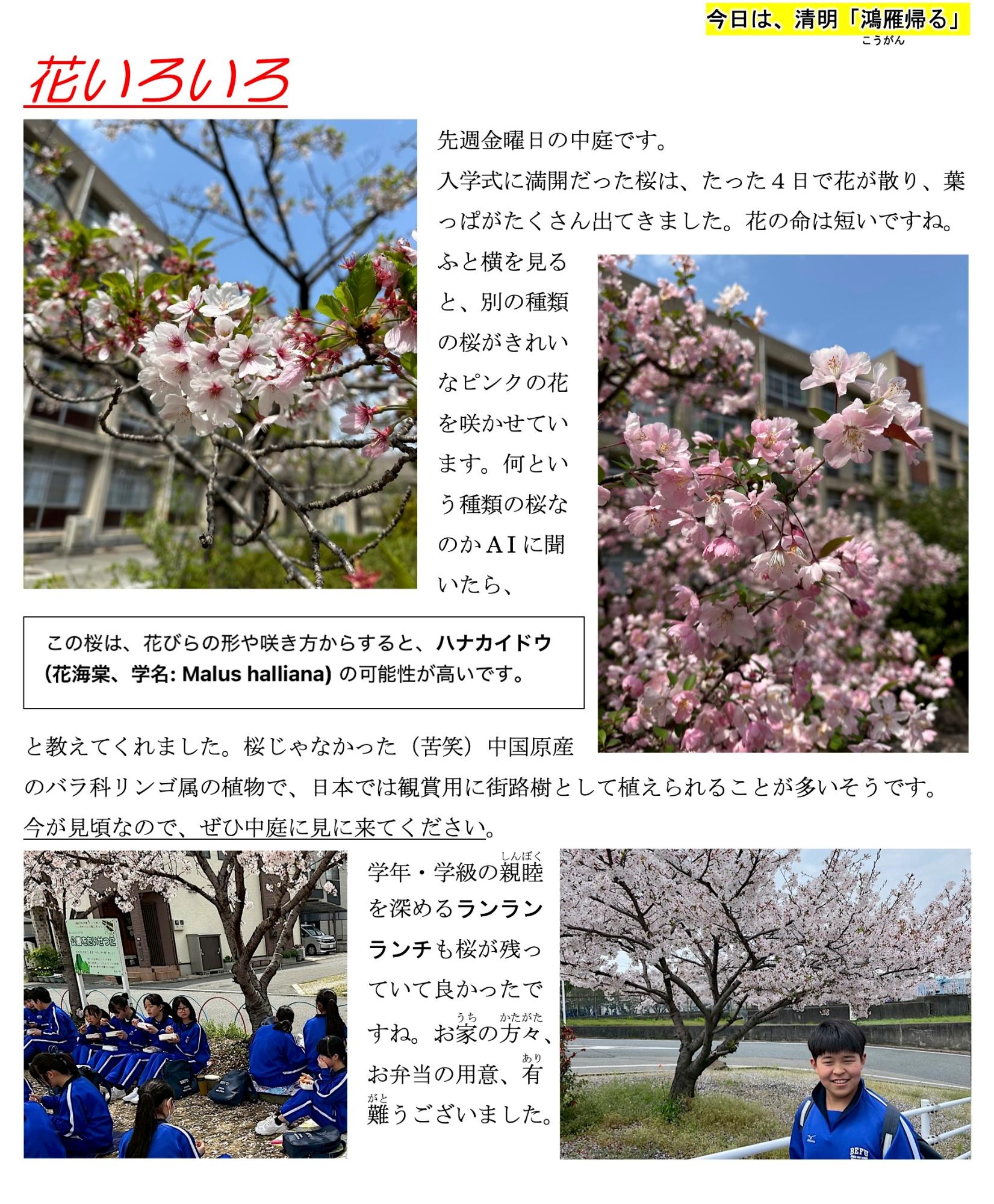 第6号