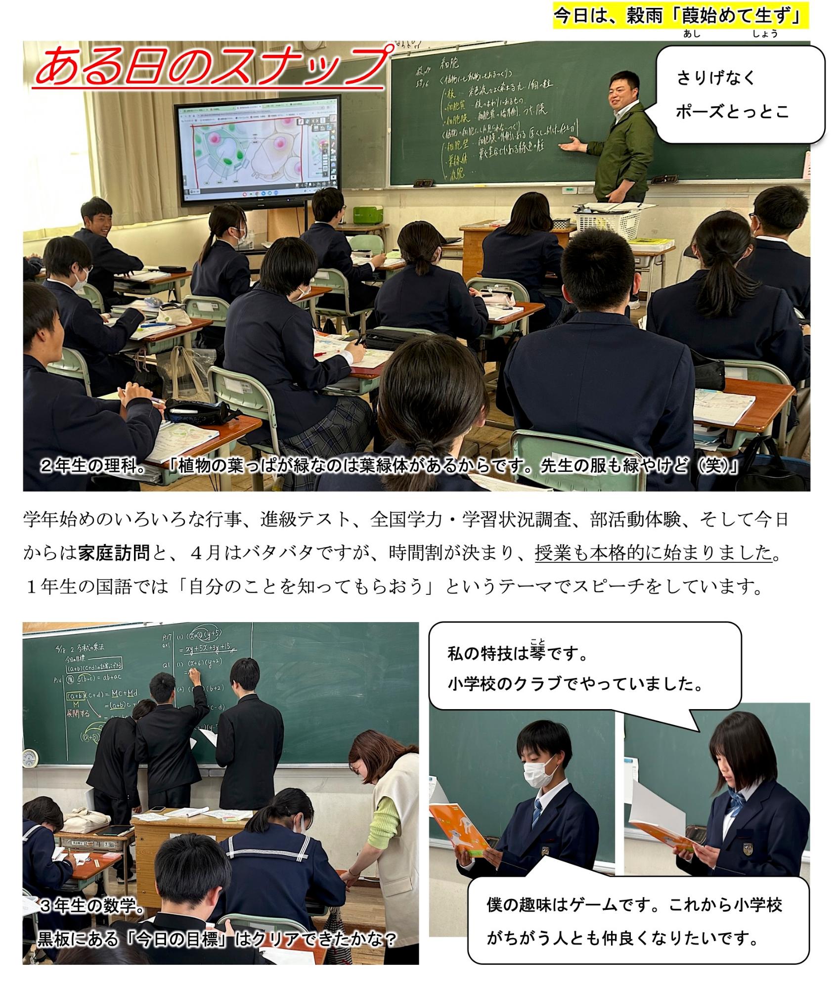 第11号