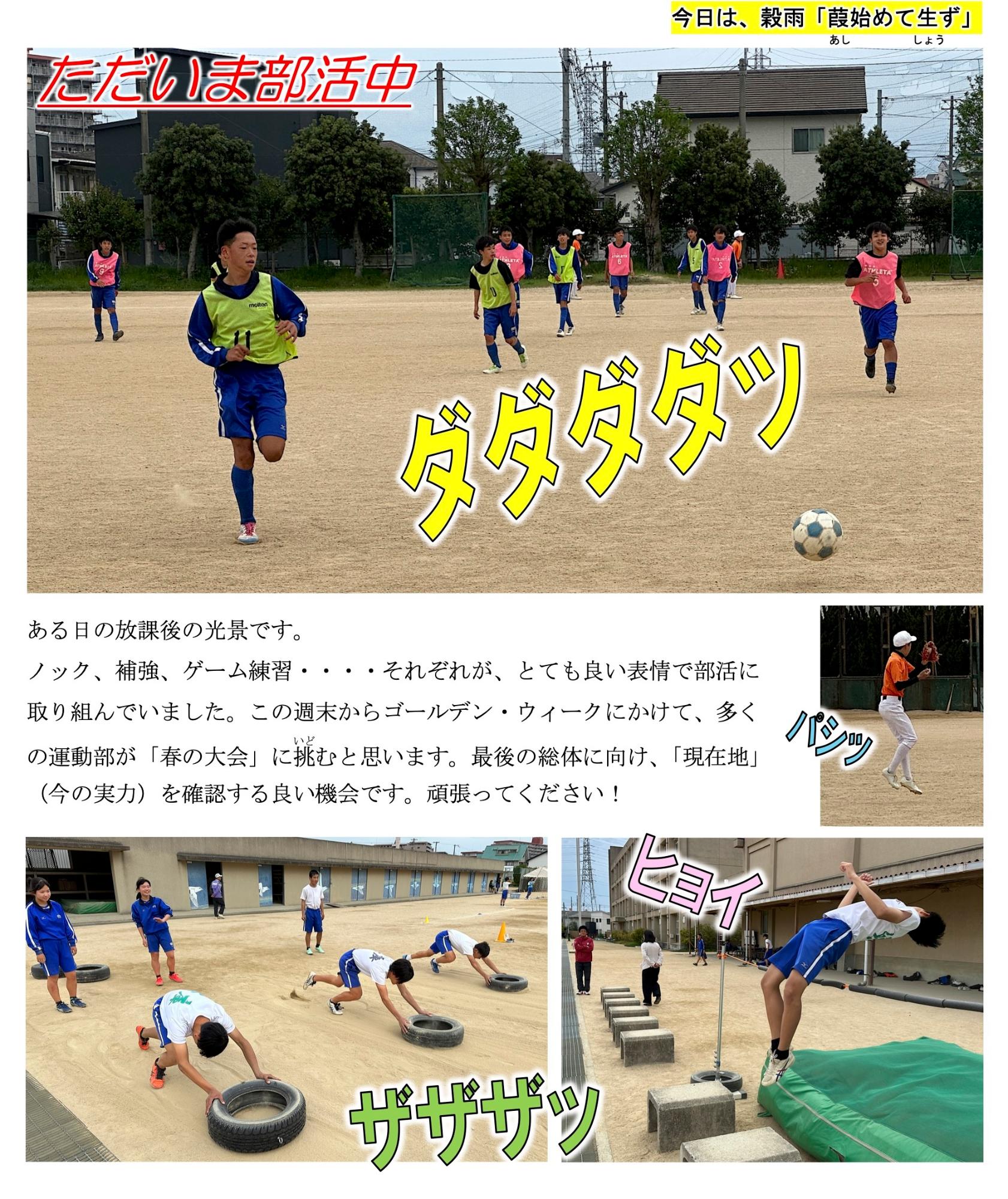 第14号