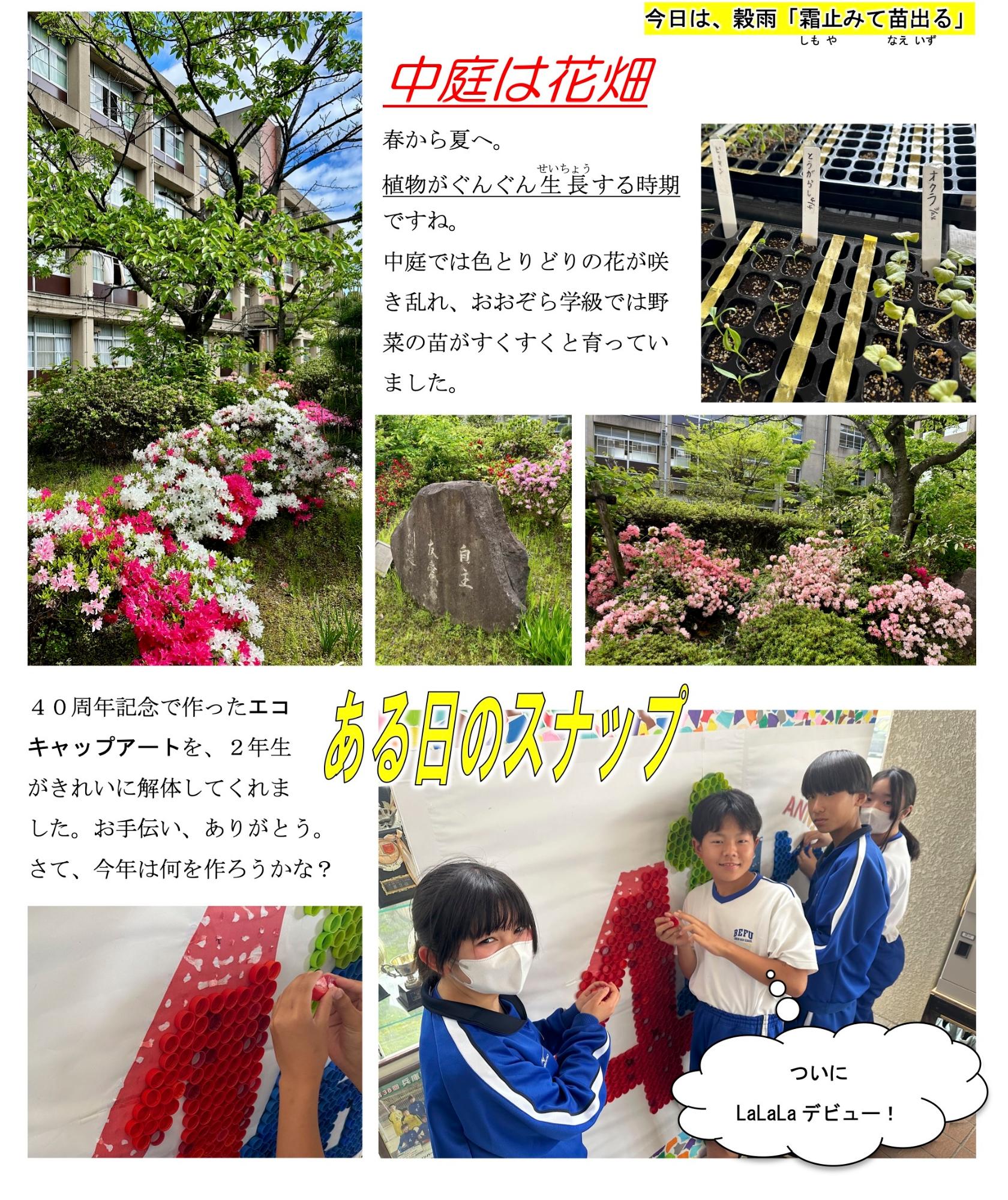 第15号