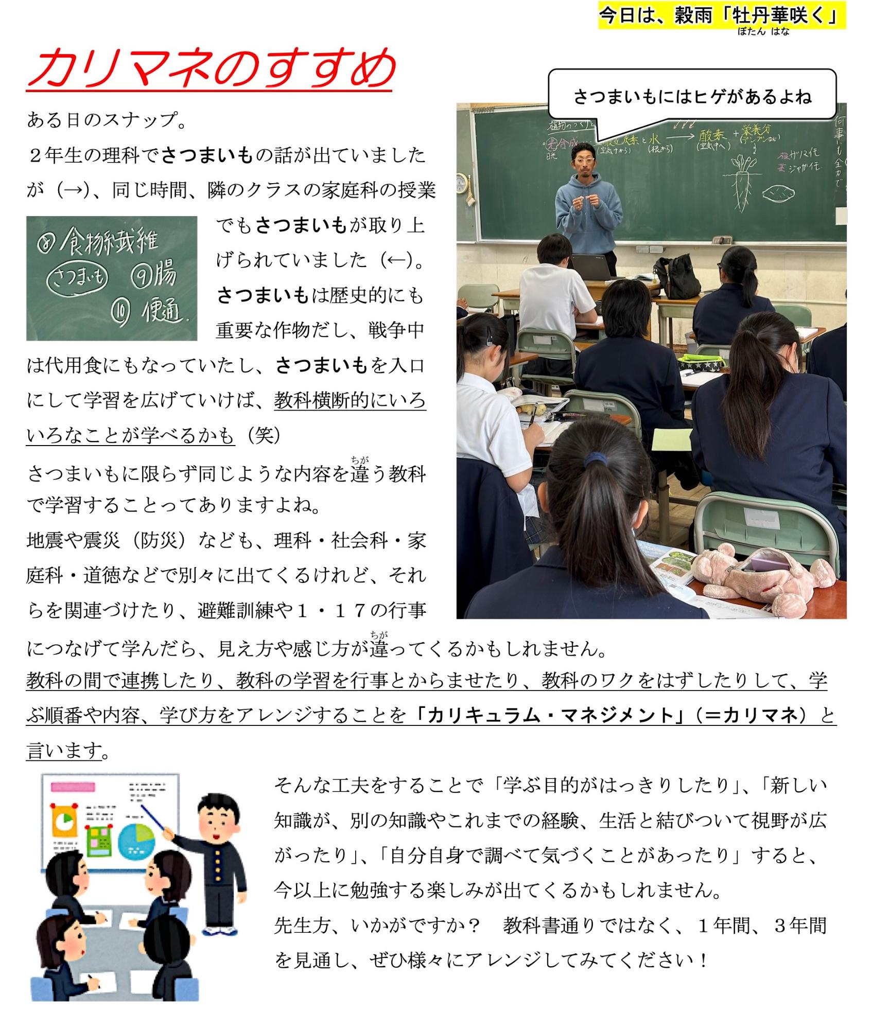 第17号