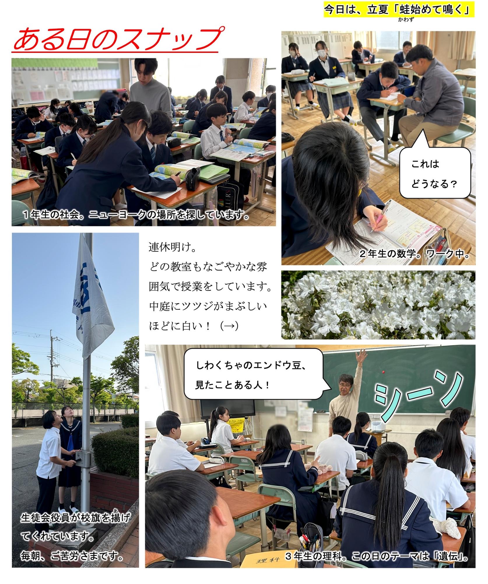 第22号