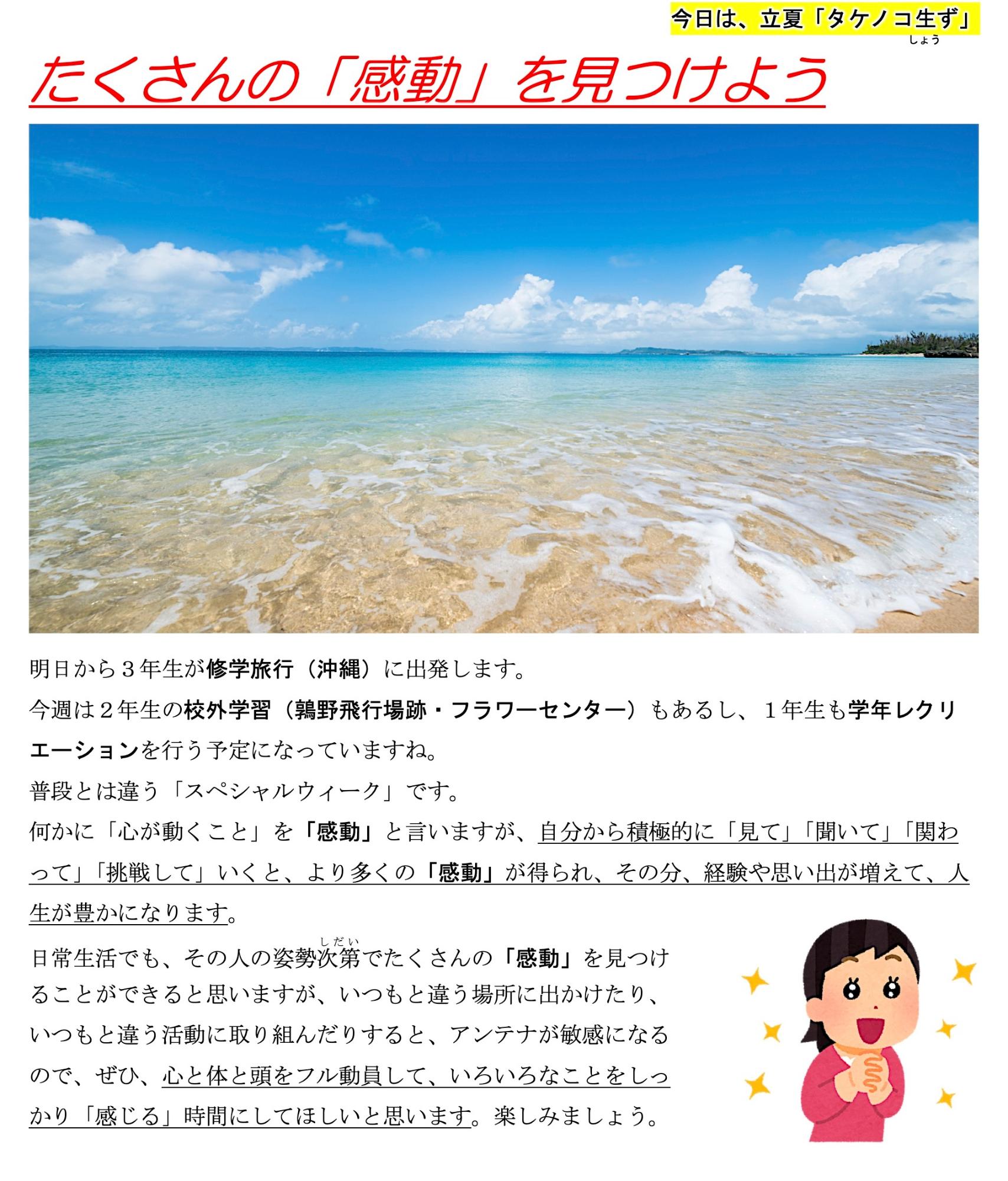 第29号