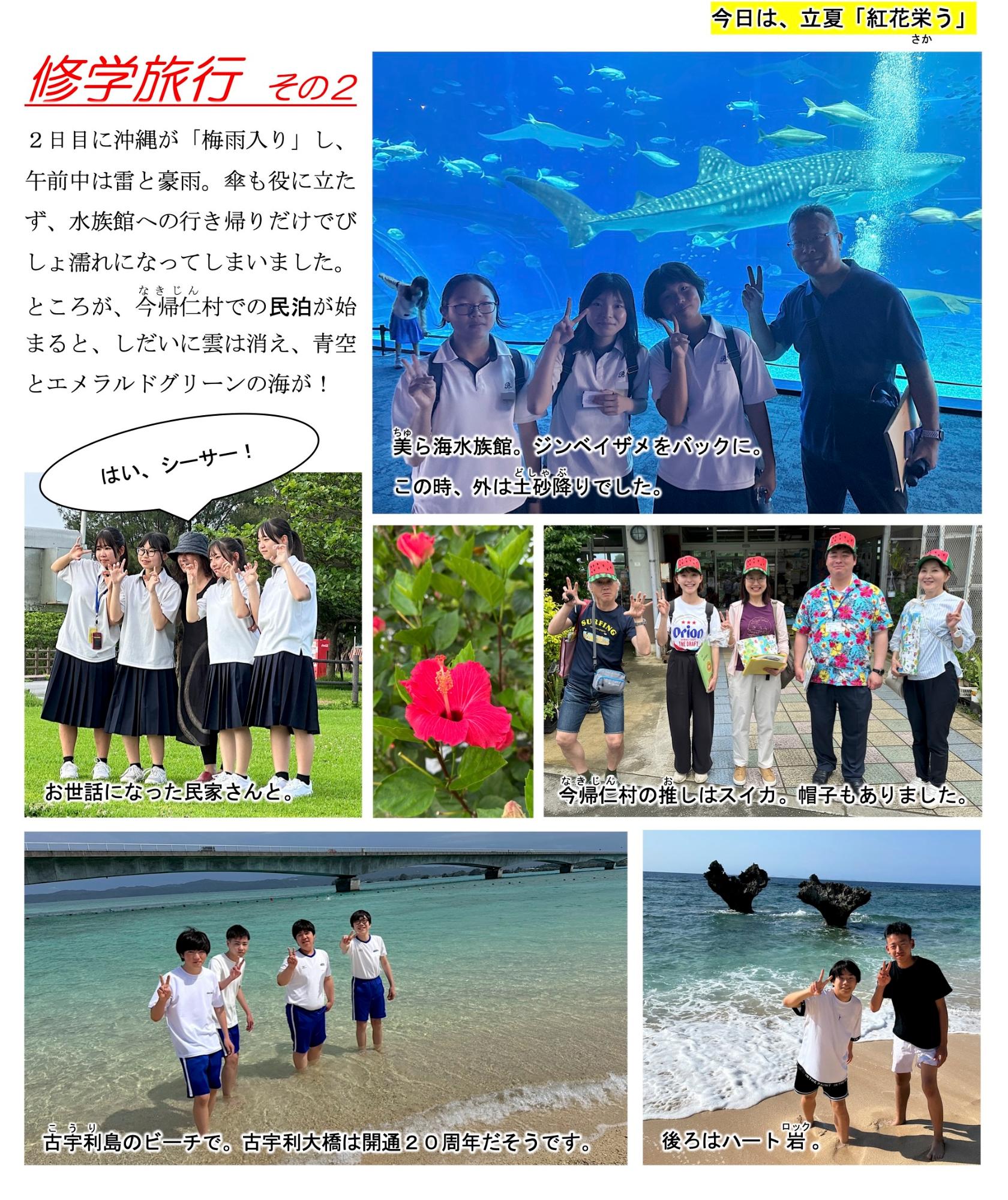第31号