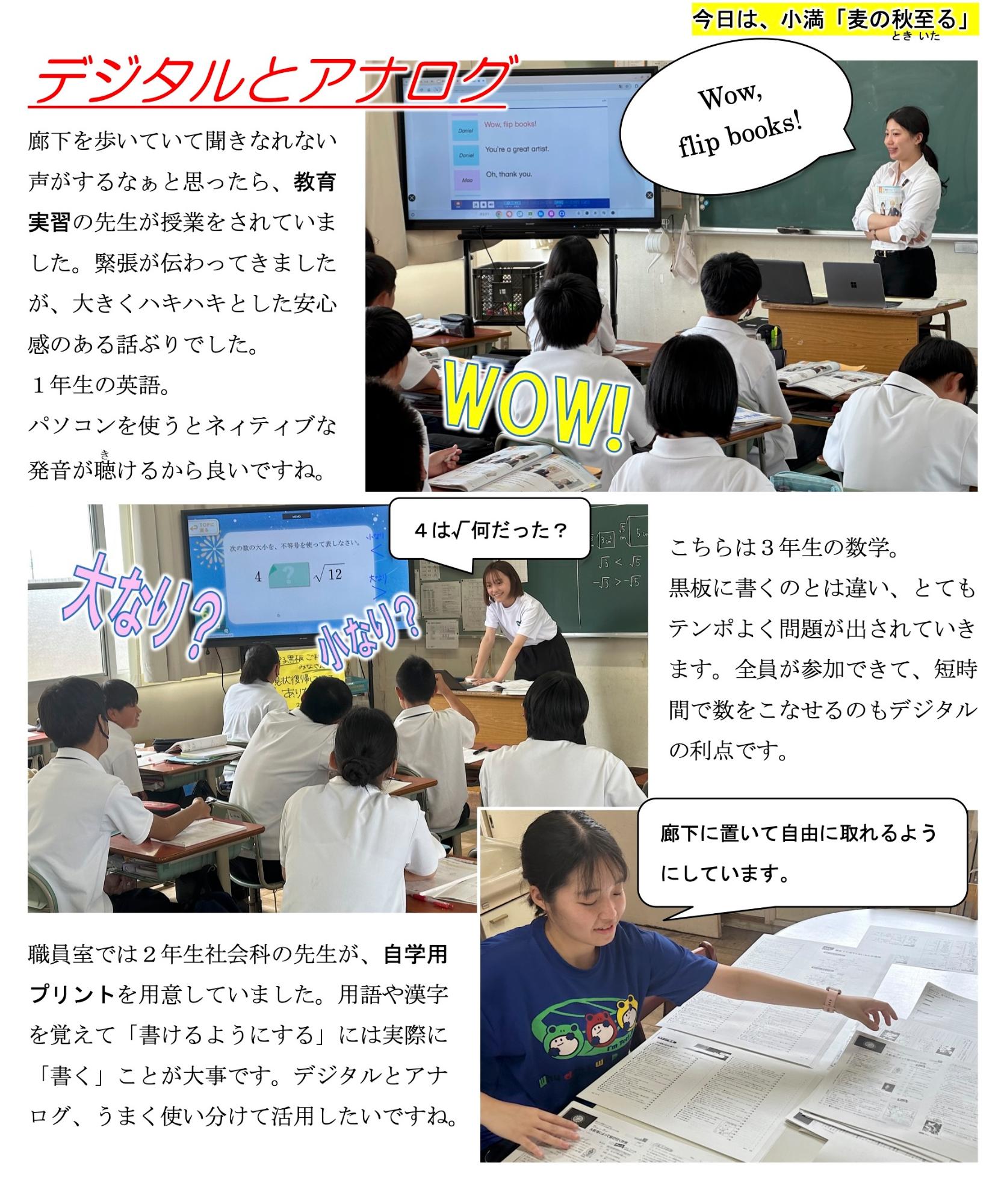 第36号