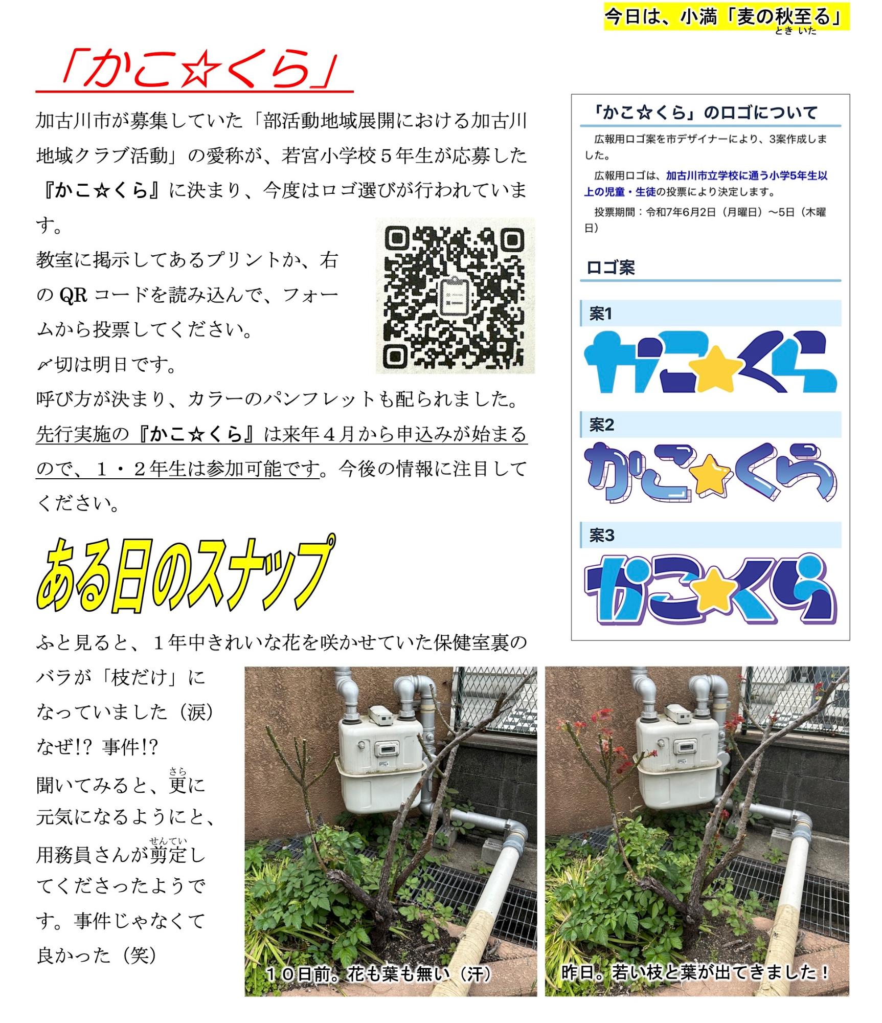 第37号