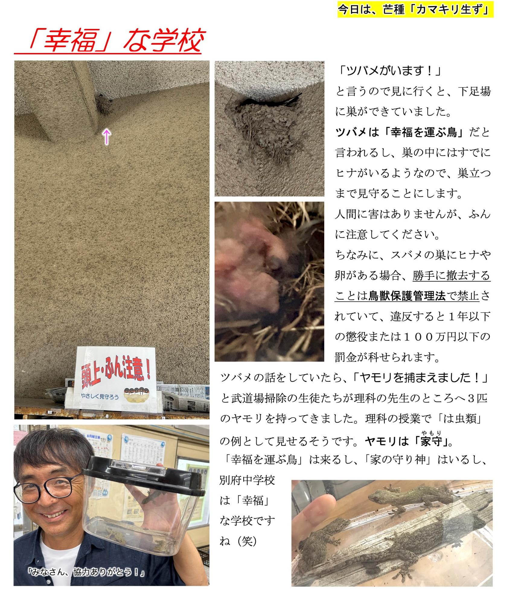 第40号