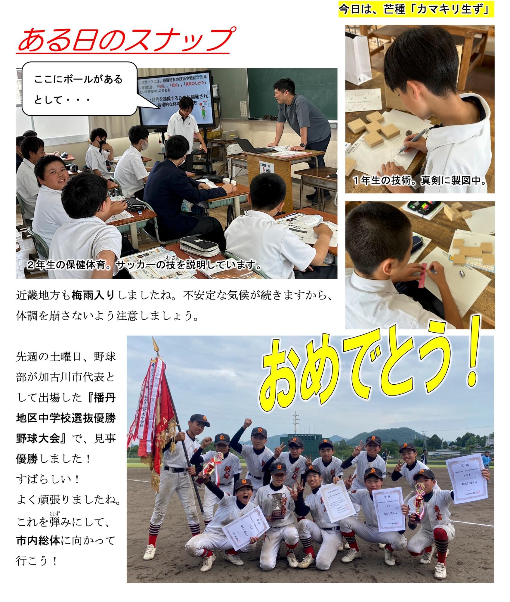 第41号