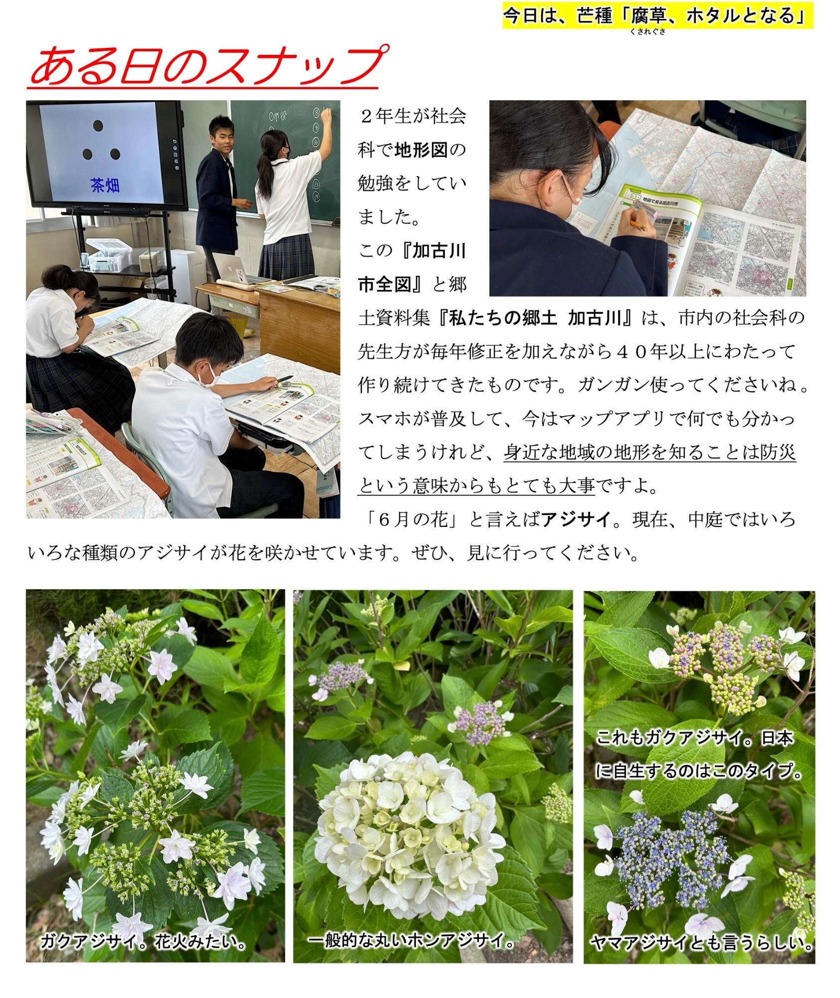 第42号