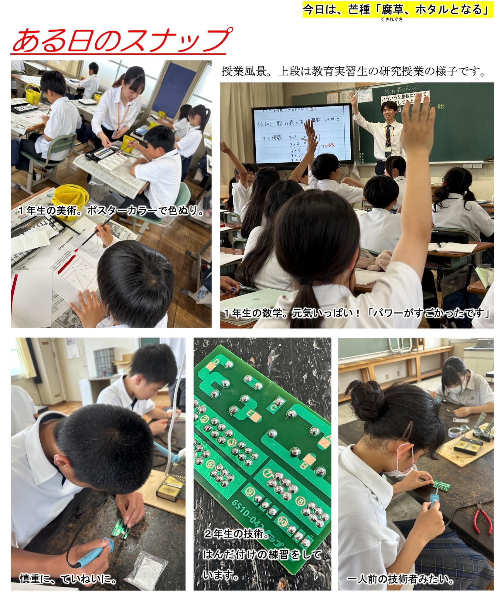 第43号