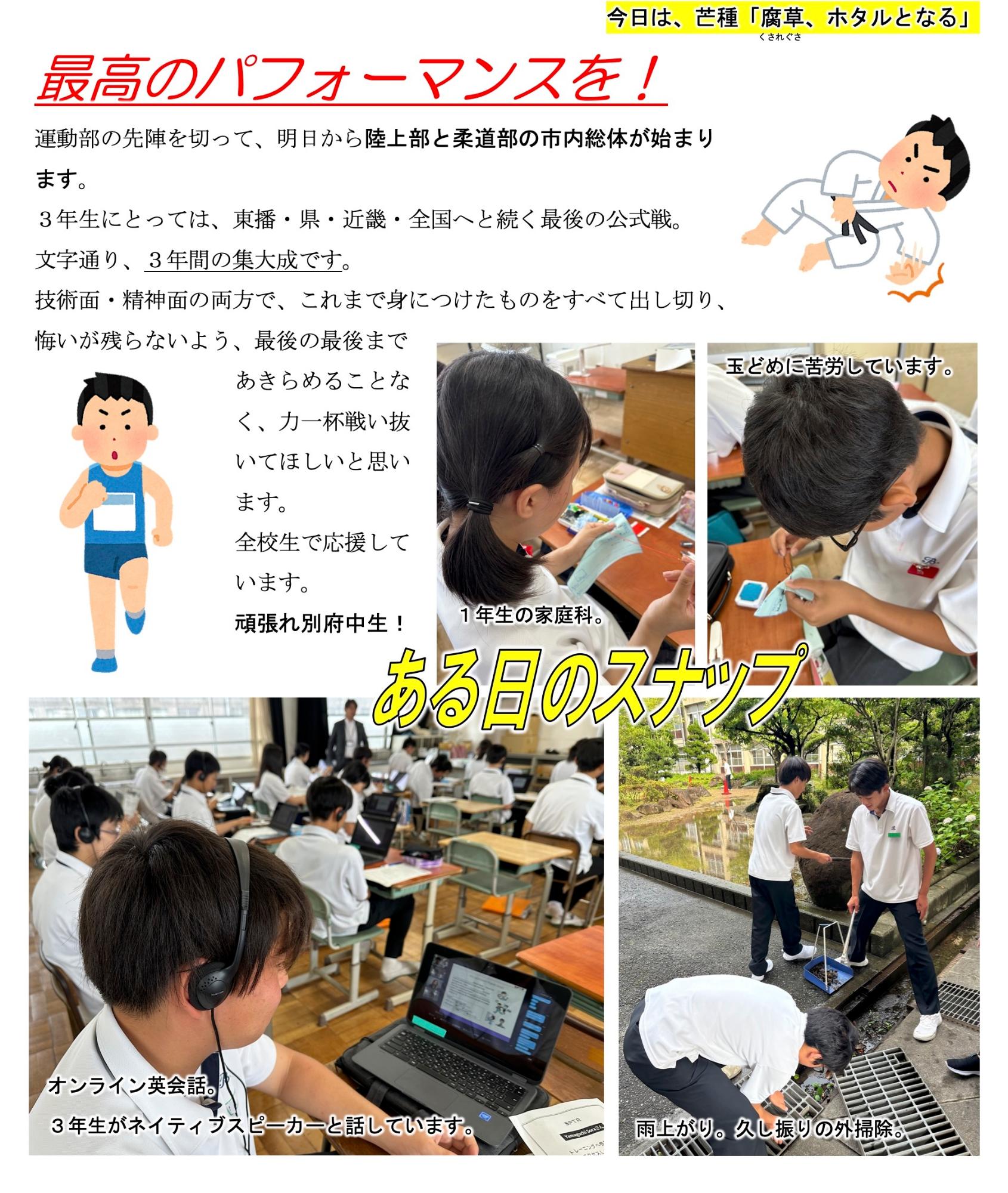 第44号