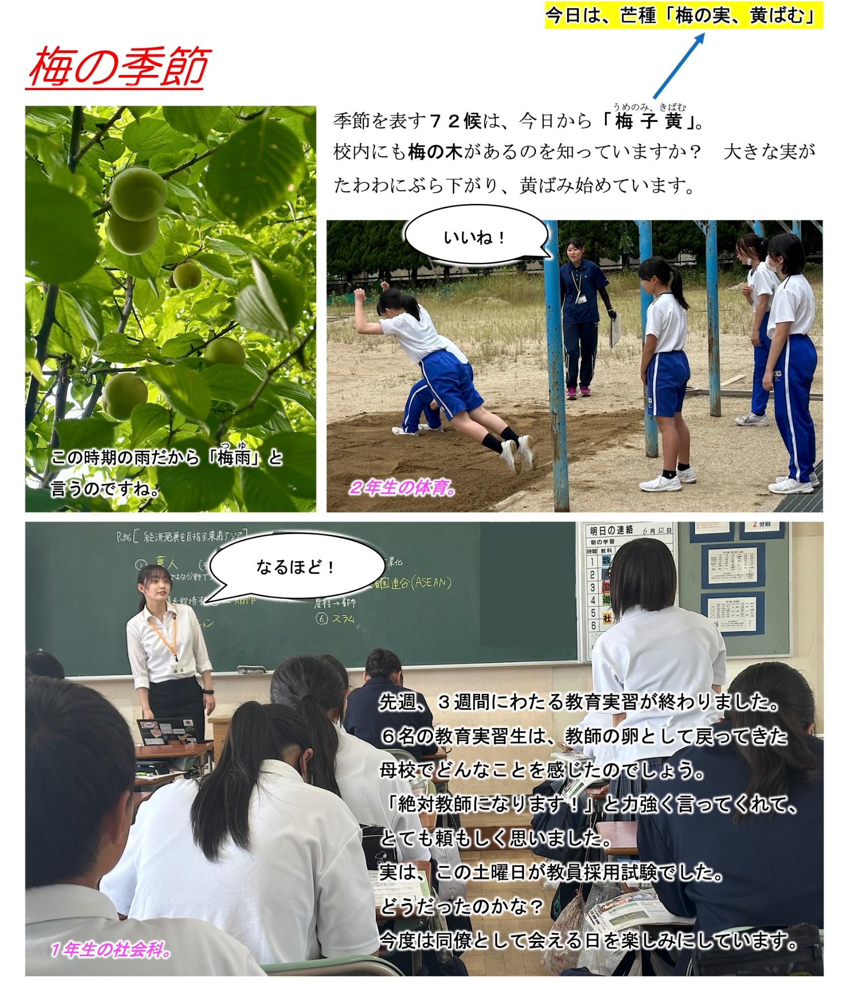 第45号