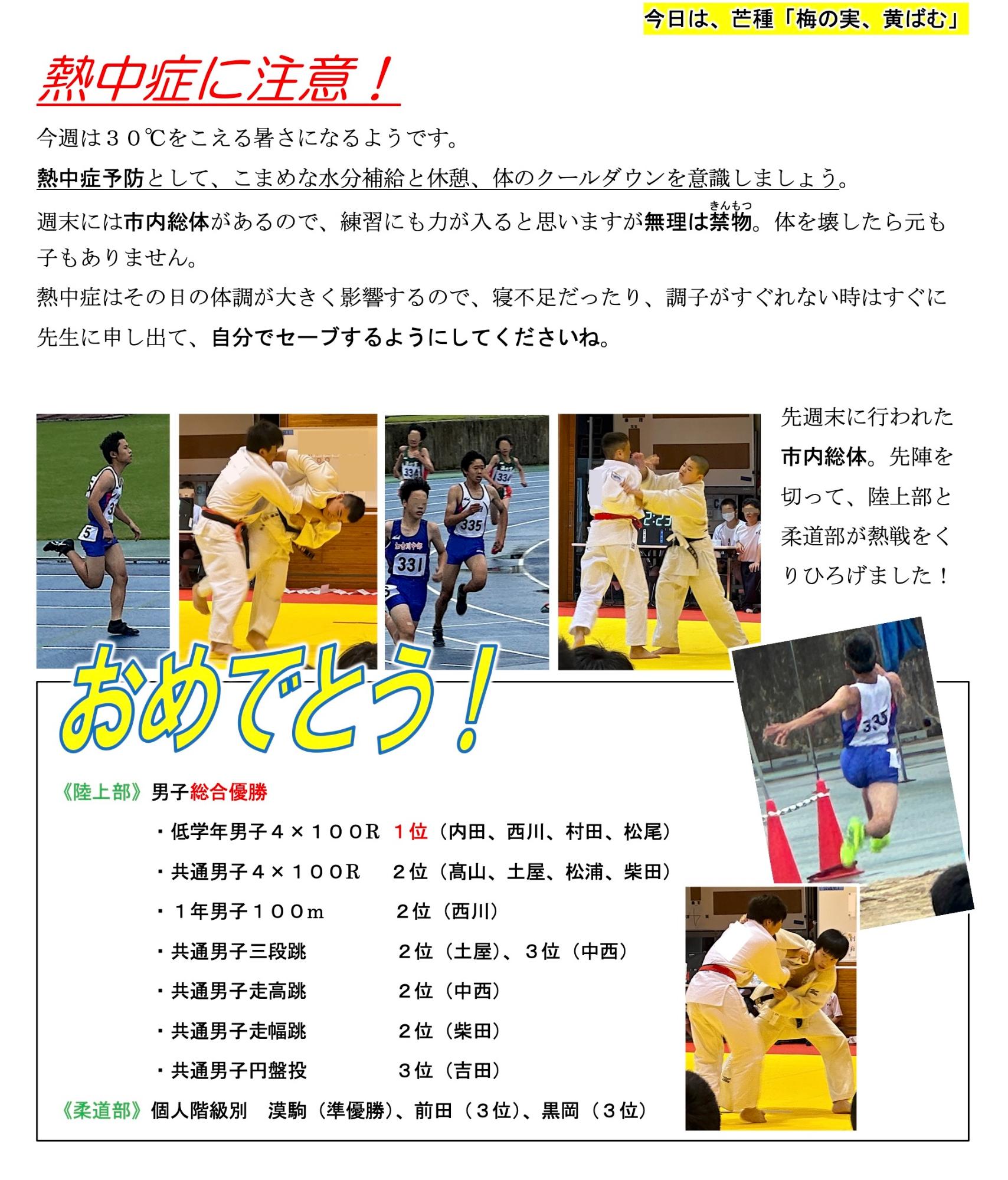 第46号