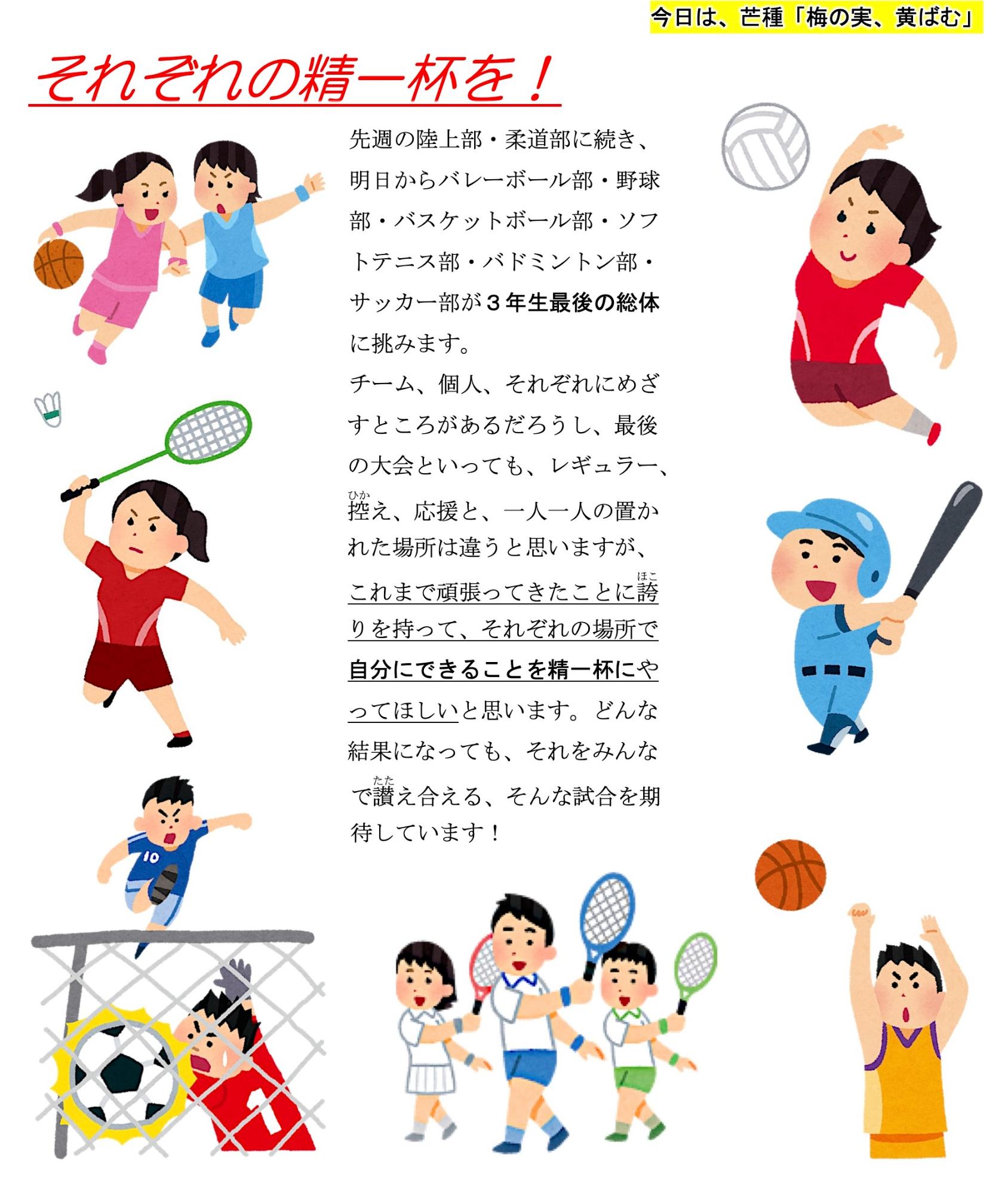 第48号