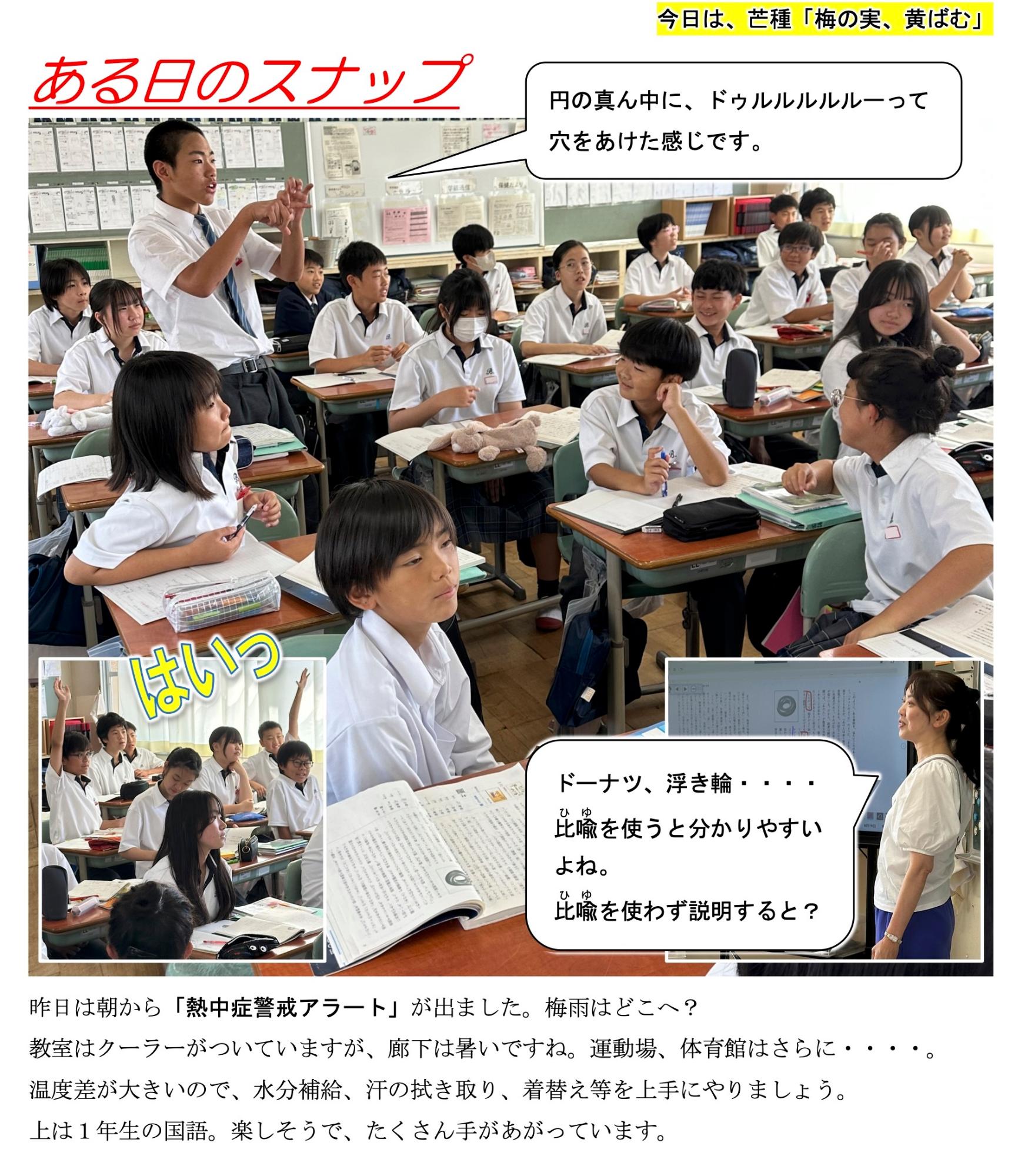 第49号