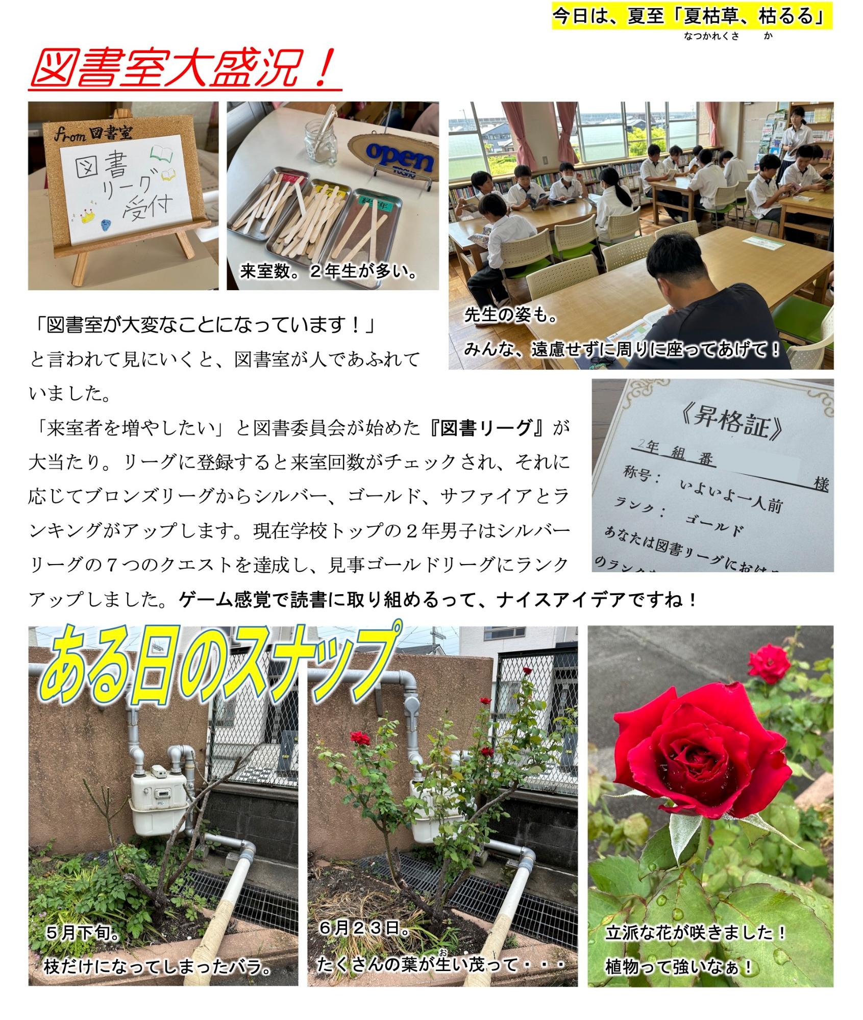 第52号
