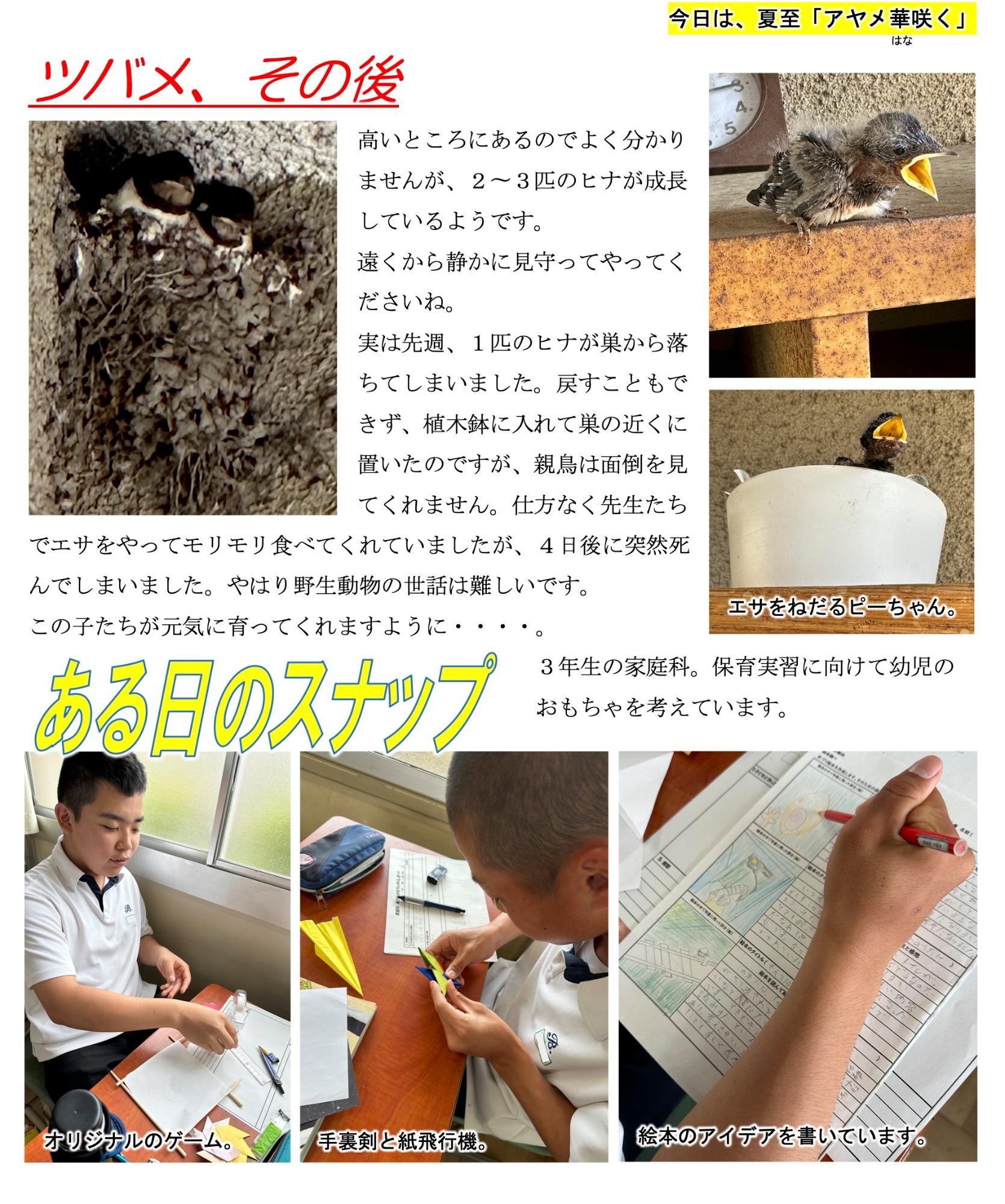 第53号