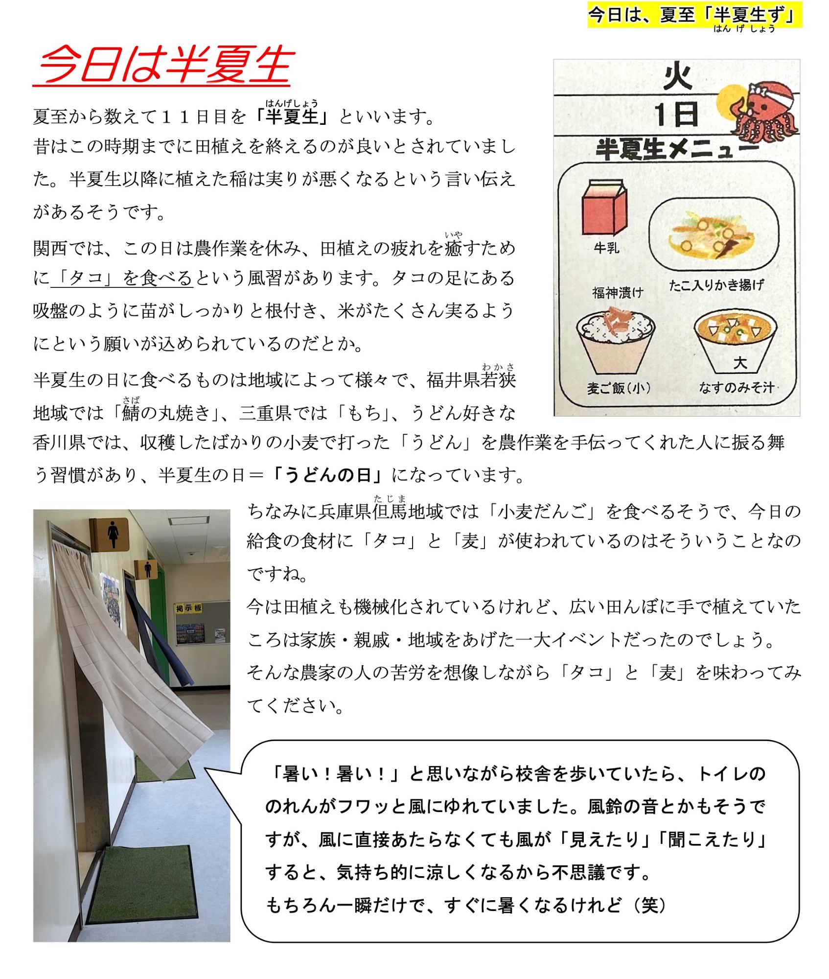 第56号