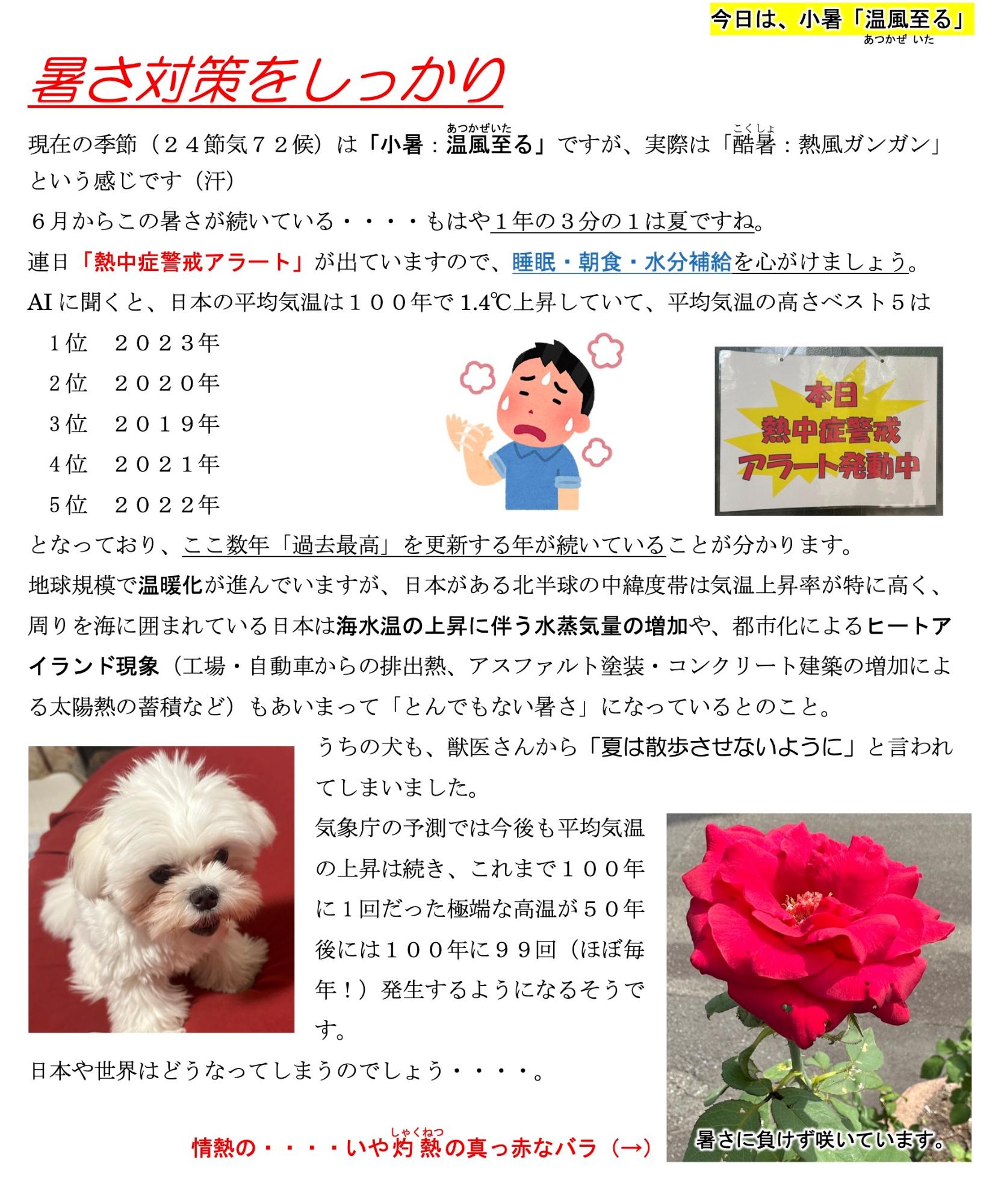 第61号