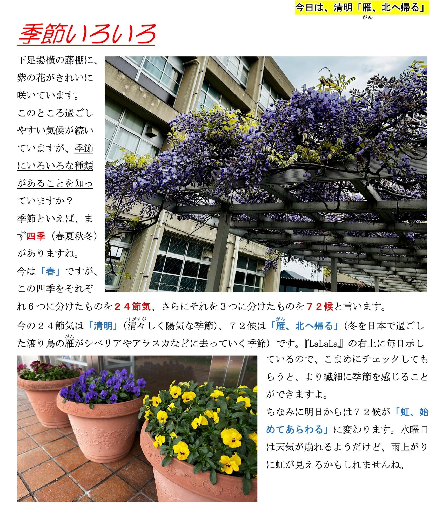 第6号