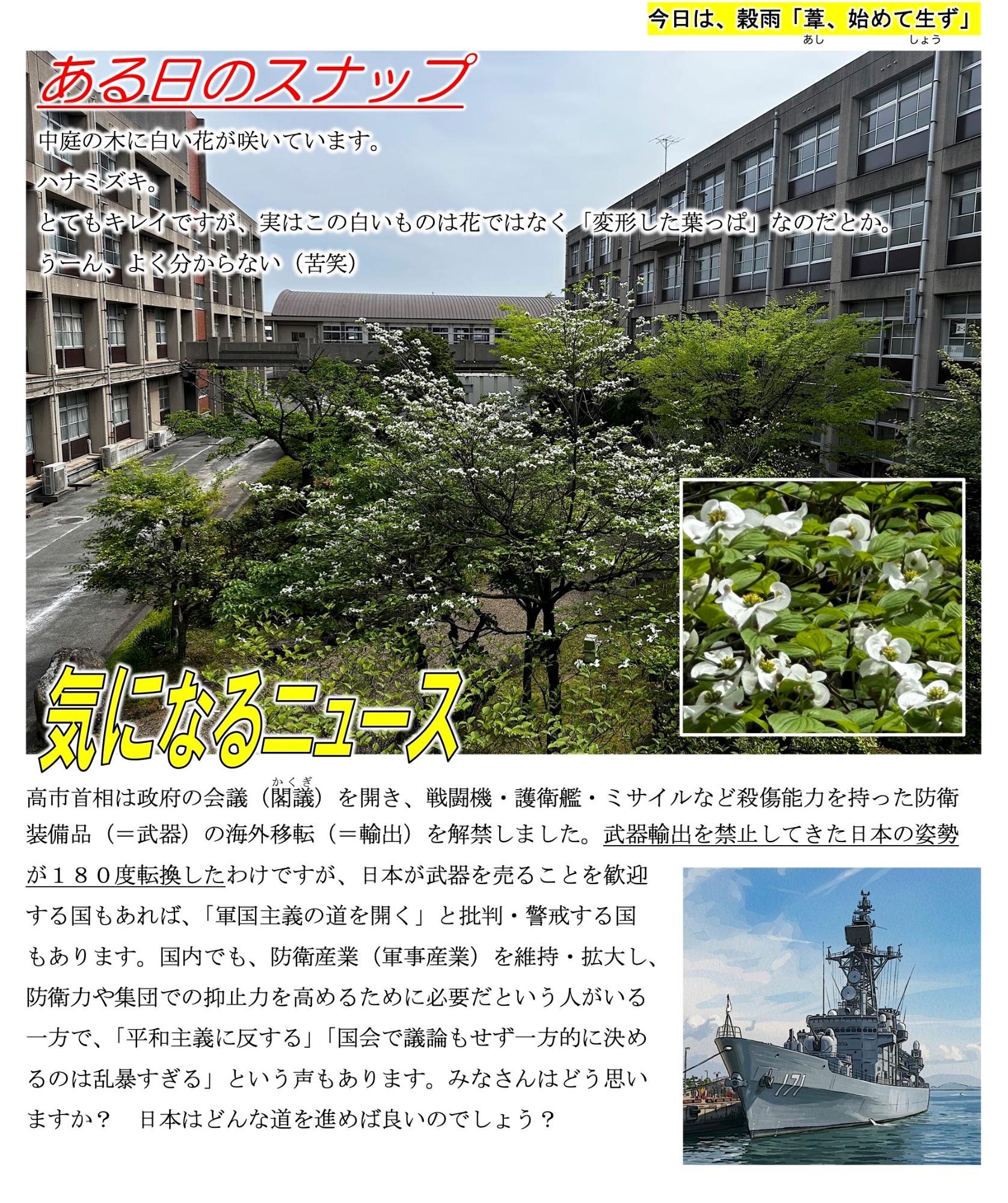 第13号