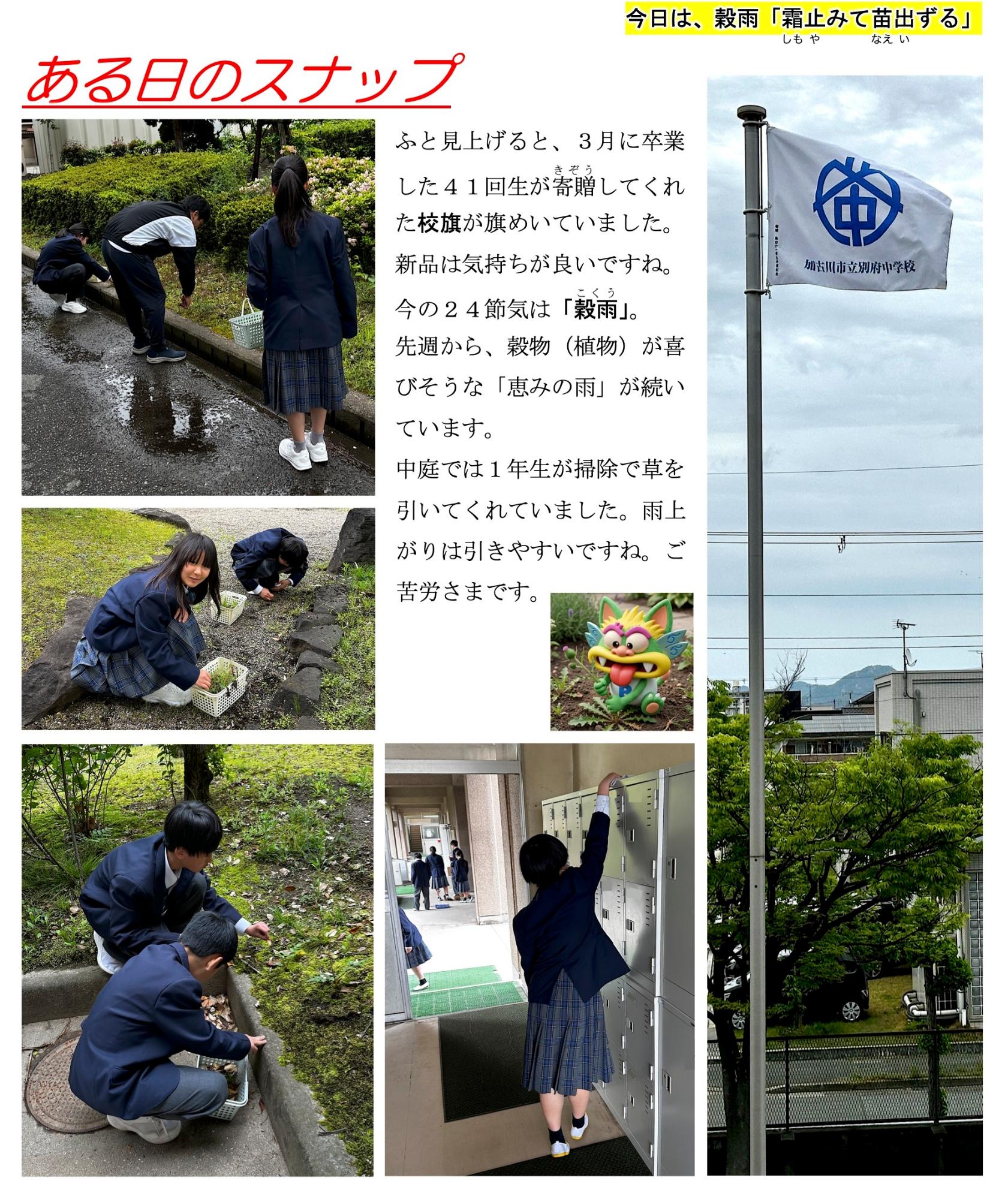 第15号