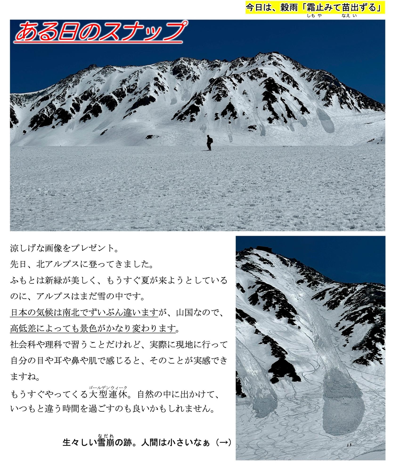 第16号