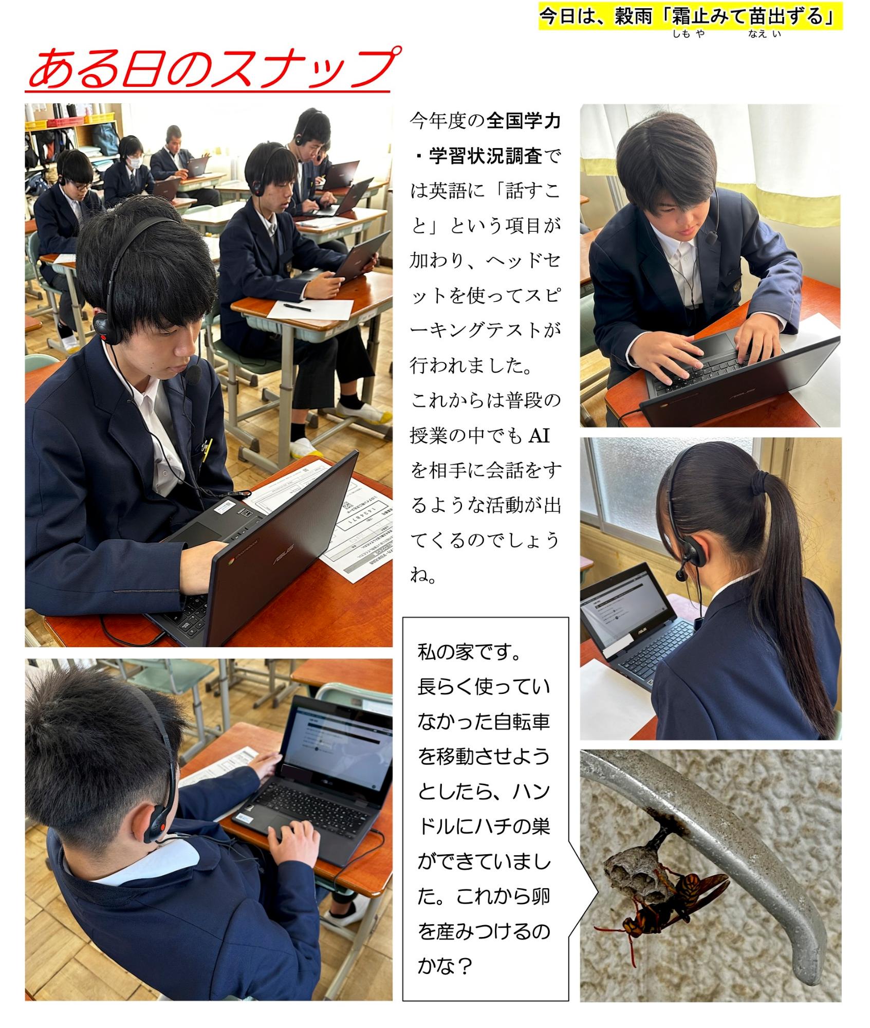 第17号