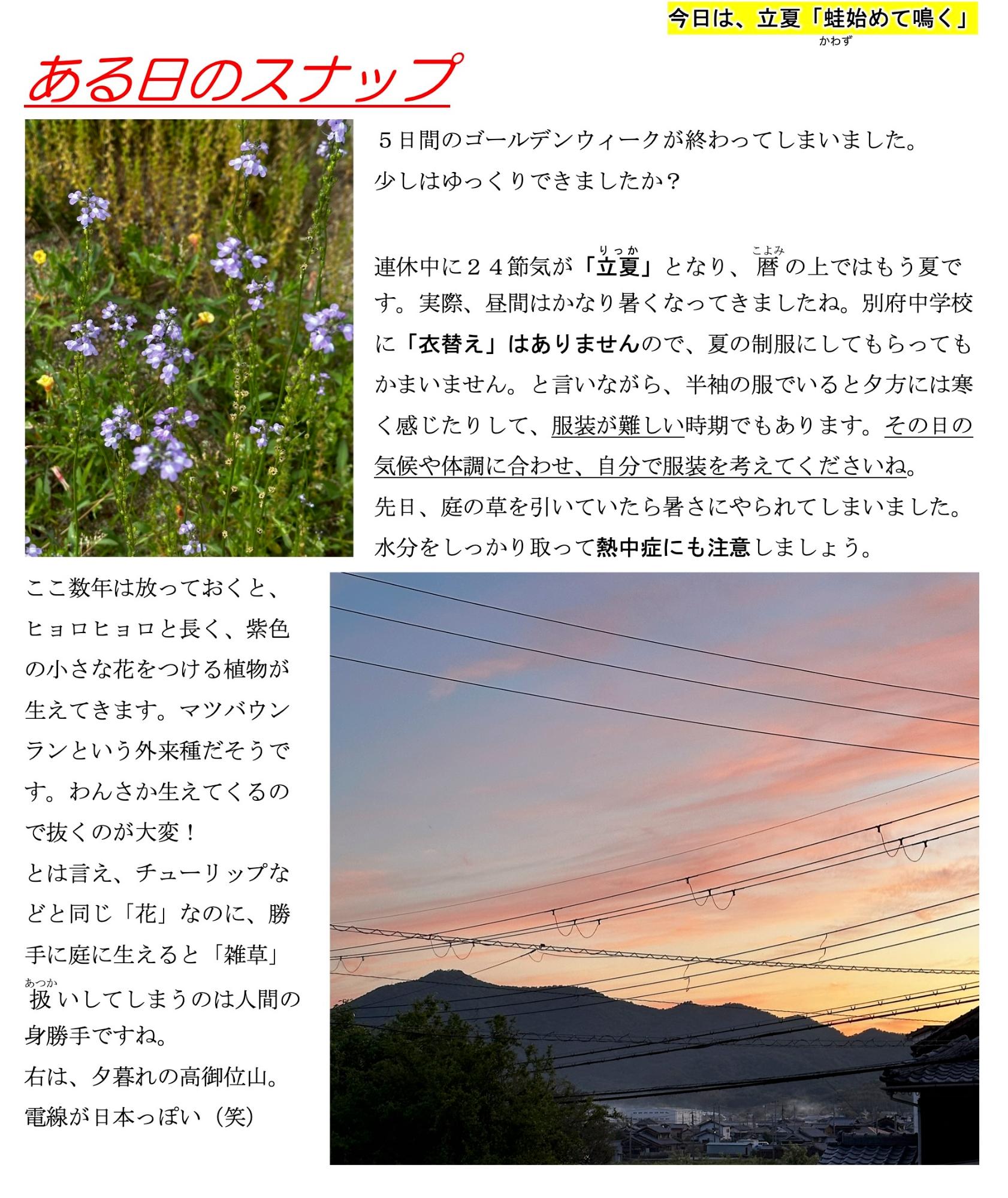 第19号