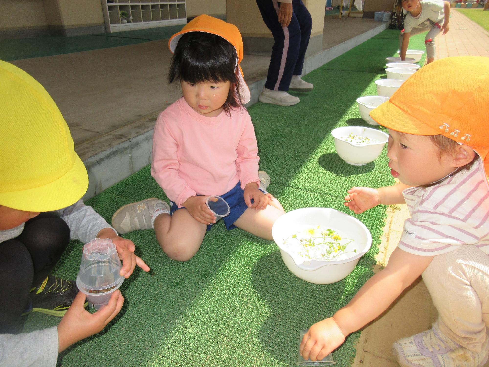 えころこ自然体験