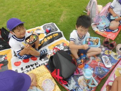 芝生広場でお弁当を食べる園児たちの写真