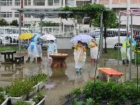 水たまりって面白い！