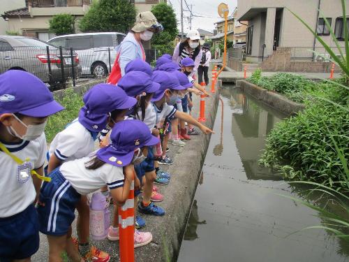 池に何かいるかな？