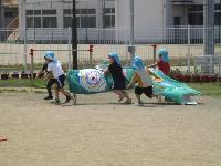 こいのぼり遊び4歳児