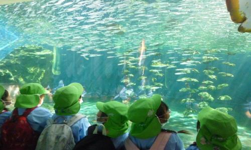 わかば水族館