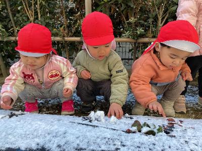 雪に触れる0・1歳児