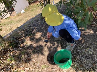 泥団子の土を探す4歳児