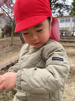 てんとうむしを見る1歳児
