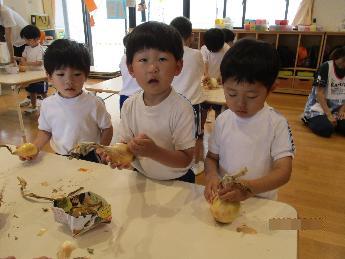 たまねぎの皮をむく3歳児