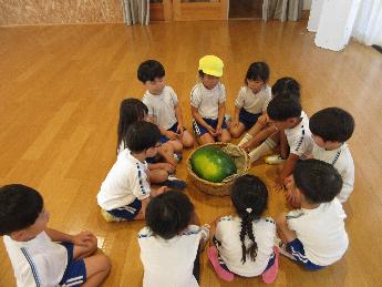スイカを見る4歳児