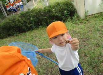 セミの抜け殻を見つけた3歳児