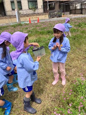 カエルにびっくりの5歳児