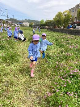 田んぼで駆け回る5歳児