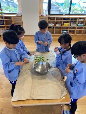 黙々と豆を取り出す5歳児
