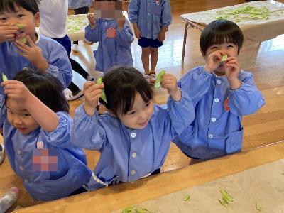 豆を取り出した後のさやで遊ぶこどもたち。