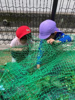 1歳児のイチゴを一緒に探す5歳児