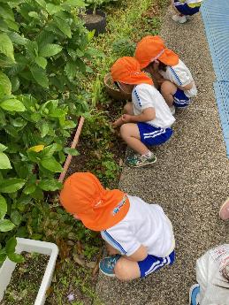 探す3歳児3人組