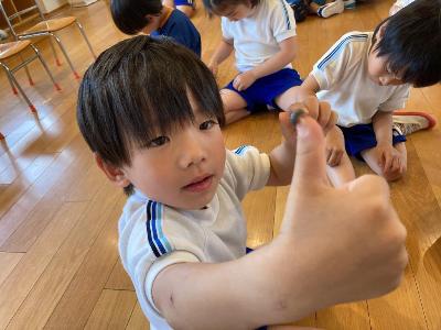 保育室で手にダンゴムシを登らせ見つめる4歳児