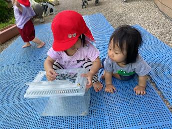 1歳児が見つけたダンゴムシに興味津々の0歳児